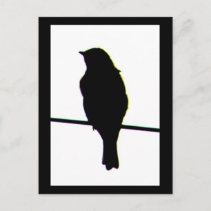 Western Bluebird silhouette Postcard