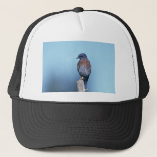 Western bluebird trucker hat