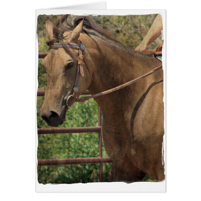 Western Buckskin Horse (Front)