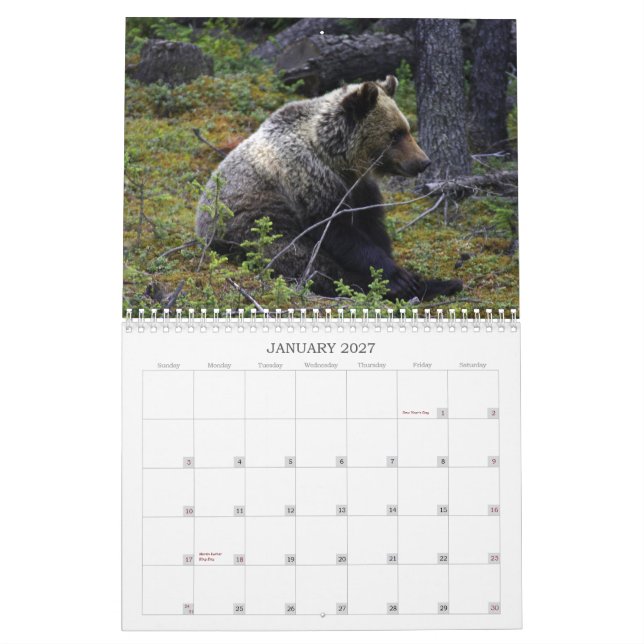 Western Canadian Grizzly Bears Calendar (Jan 2027)