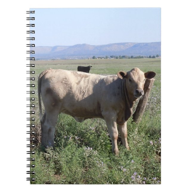 Western Cattle Herd Rural Landscape Scene Notebook (Front)
