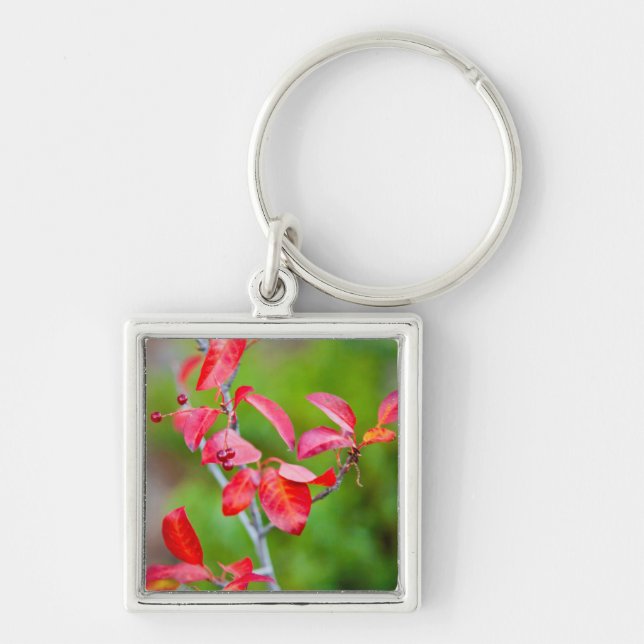 Western Choke Cherry (Prunus Virginiana) In Fall Keychain (Front)