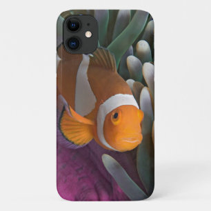 Western Clown Anemone Fish iPhone 11 Case