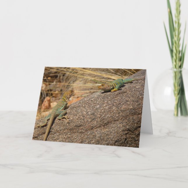 Western Collared Lizards in Colorado Card (Front)