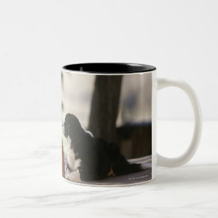 Western Colorado, USA Two-Tone Coffee Mug