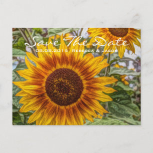 western country yellow sunflower wedding announcement postcard
