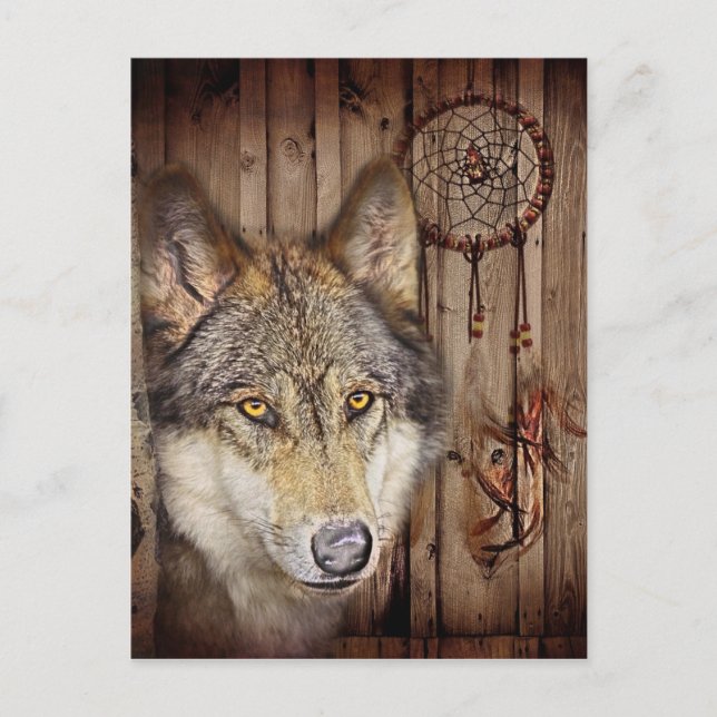 Western dream catcher  native american indian wolf postcard (Front)