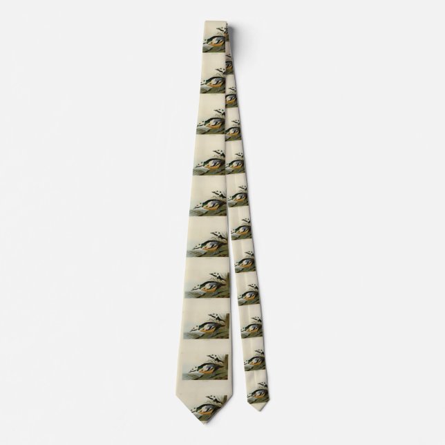 Western Duck from Audubon's Birds of America Tie (Front)