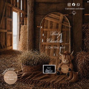Western Farm Pregnancy Announcement Mirror reveal