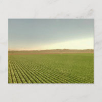 Western Farmland Rows Landscape Photography