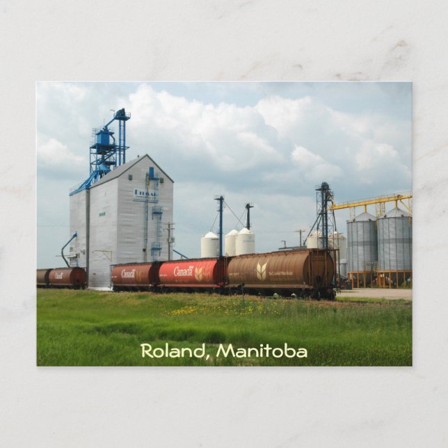 Western Grain Elevator Postcard (Front)