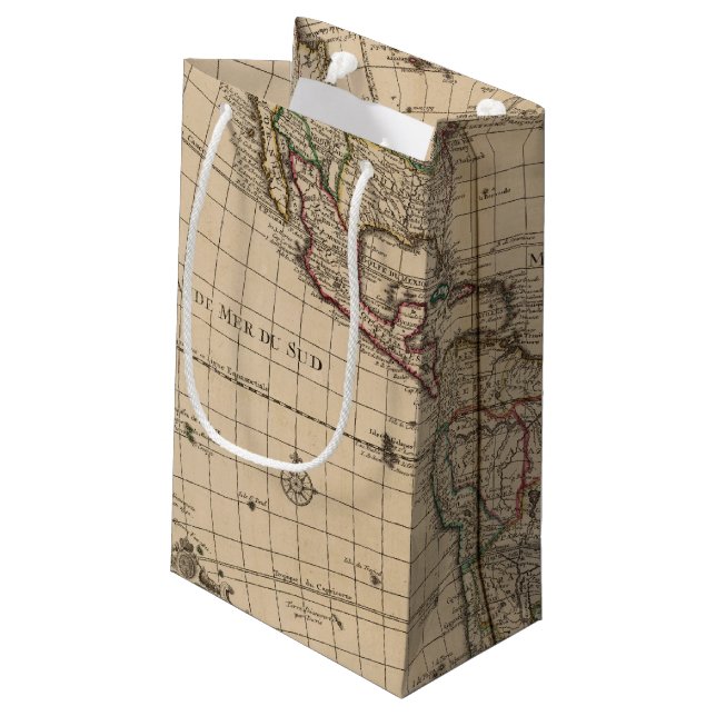 Western Hemisphere 12 Small Gift Bag (Back Angled)
