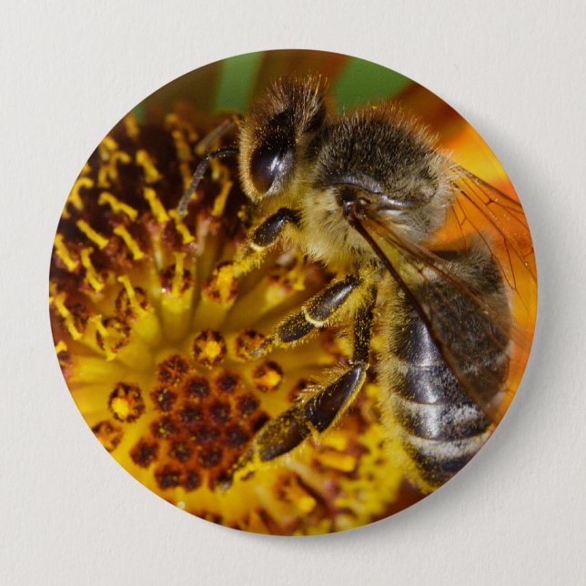 Western Honey Bee Macro Photo 4 Inch Round Button (Front)
