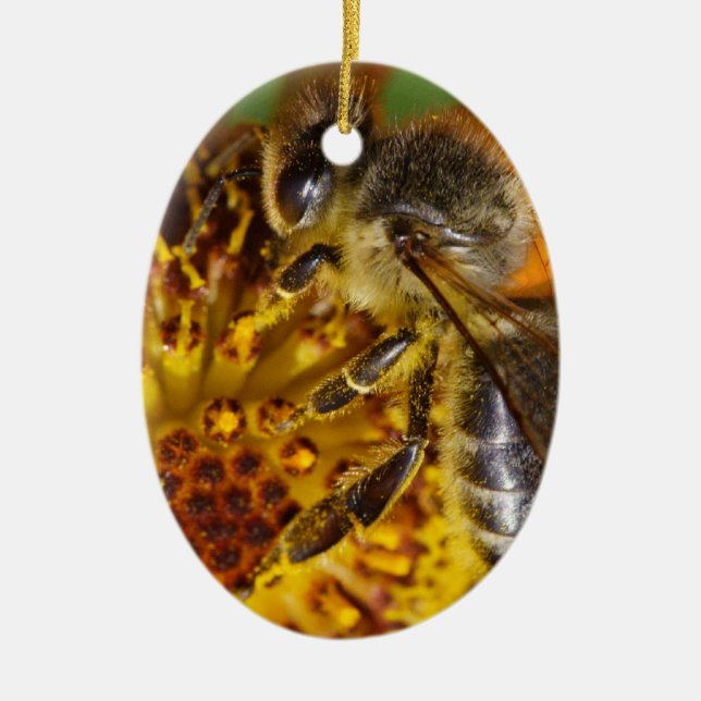Western Honey Bee Macro Photo Ceramic Ornament (Front)