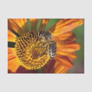 Western Honey Bee Macro Photo Tissue Paper