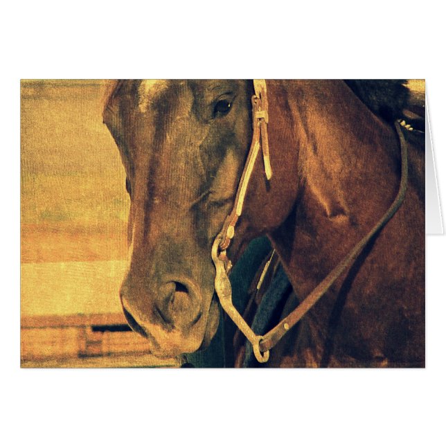 Western Horse (Front Horizontal)