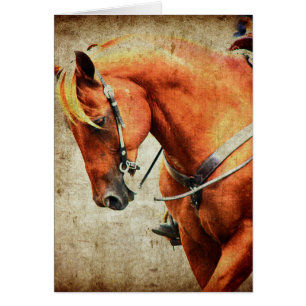 Western Horse