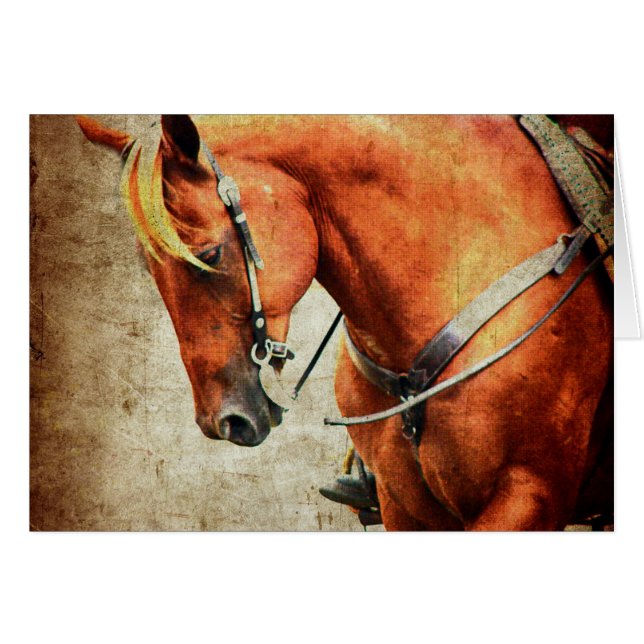 Western Horse (Front Horizontal)