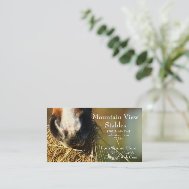 Western  Horse Business Card Template (Standing Front)