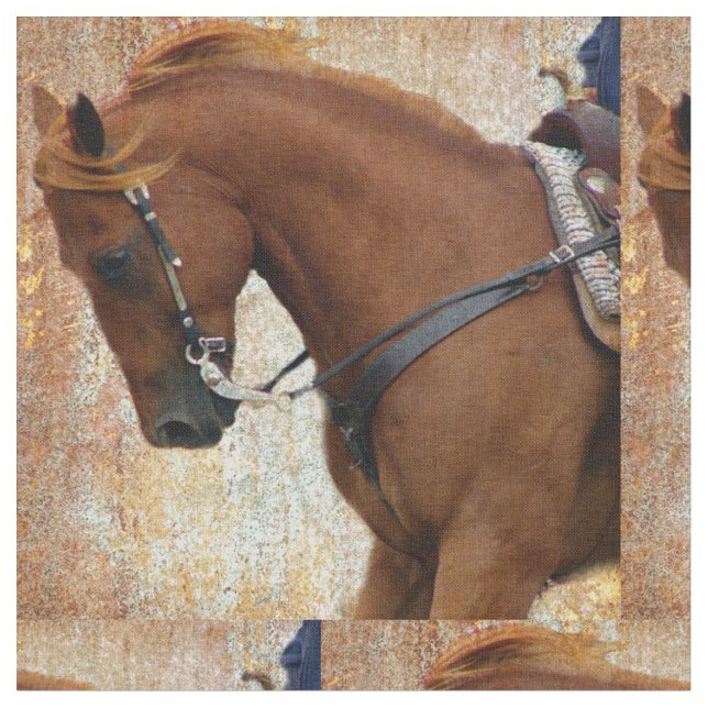 Western Horse Grunge Fabric (Close Up)