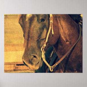 Western Horse Poster