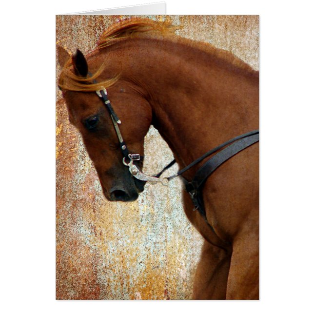 Western Horse Sorrel Grunge (Front)