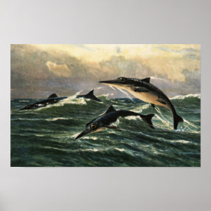Western Interior Seaway Poster