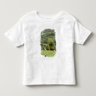 Western Ireland, Dingle Peninsula, broad Toddler T-shirt