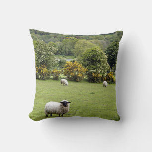 Western Ireland, Dingle Peninsula Throw Pillow
