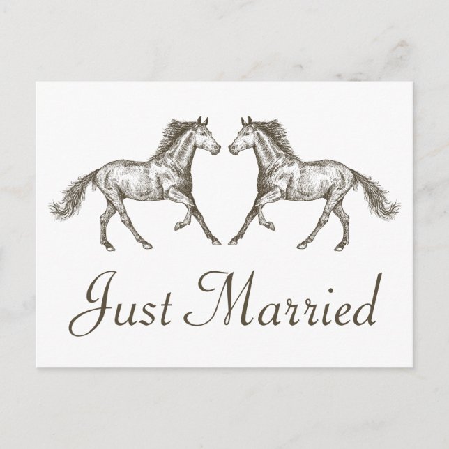 Western Just Married Rustic Wedding Horse Country Announcement Postcard (Front)