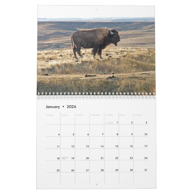 Western Kansas Buffalo Calendar (Jan 2026)