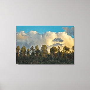 WESTERN LANDSCAPE Canvas Art