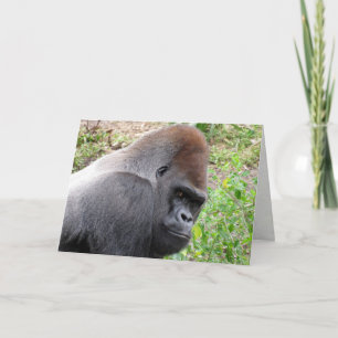 Western Lowland Gorilla Greeting Card