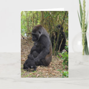 Western Lowland Gorilla - Mom and Baby Card