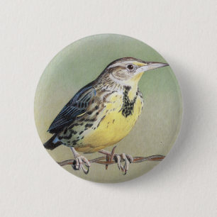 Western Meadowlark 2 Inch Round Button