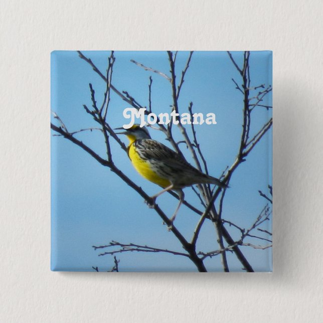 Western Meadowlark 2 Inch Square Button (Front)