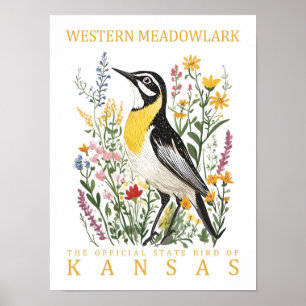 Western Meadowlark Bird of Kansas USA Travel Poster