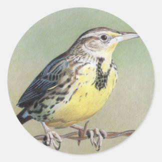 Western Meadowlark Classic Round Sticker