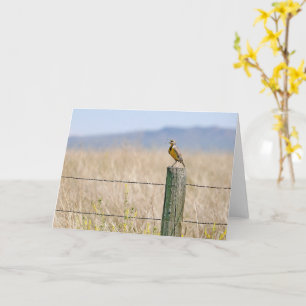 Western Meadowlark Toutes les occasions Carte de v