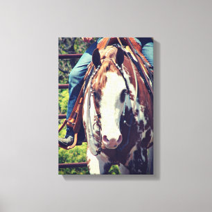 Western Paint Horse Canvas Print