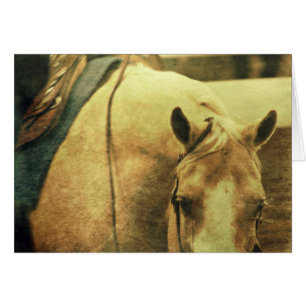 Western Palomino