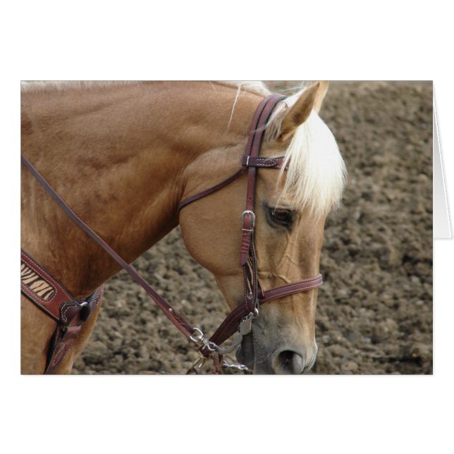 Western  Palomino (Front Horizontal)