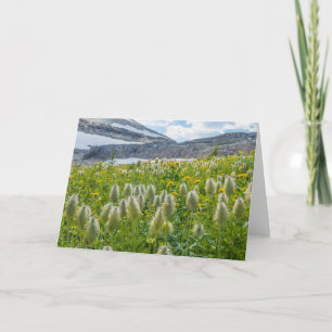 Western Pasqueflower   East Kootenay Mountains Card