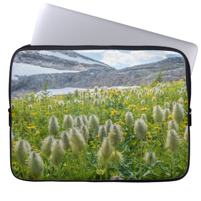 Western Pasqueflower | East Kootenay Mountains Laptop Sleeve (Front)