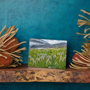 Western Pasqueflower East Kootenay Mountains Plaque