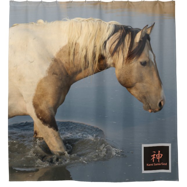 WESTERN PHOTOGRAPHY SHOWER CURTAIN WILD PINTO (Front)