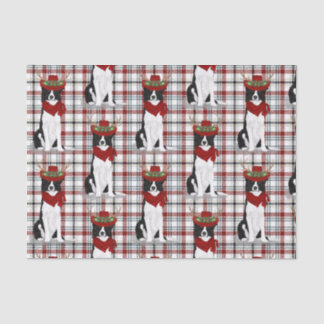 Western Plaid and Christmas Border Collie Lover Tissue Paper