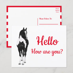 Western Pony Watercolor Black White Horse Hello P Postcard