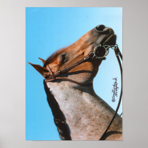 Western Quarter Horse Poster