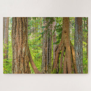 Western Red Cedar Tree Washington State Jigsaw Puzzle